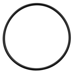 General Ecology O-Ring 2-237#5 & 10 Prefilter Housing 900109  73956