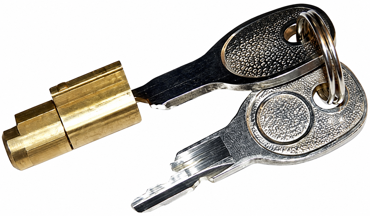 Mortice Lock Suitable for AL-KO AK7 AK10/2 AK251 AK252 Traction Ball Coupling with 2 Keys PH999