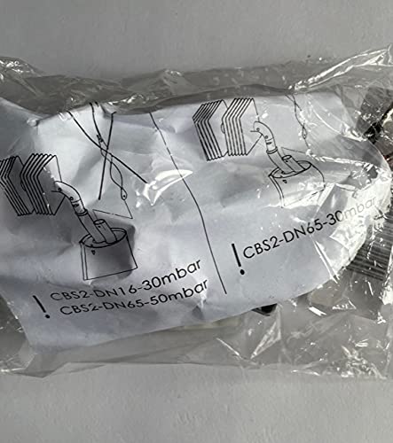 Gas Burner CBS2 - DN65 -D573