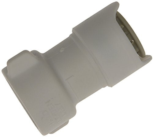 Whale Female BSP Thread Adaptor - White, 12 mm