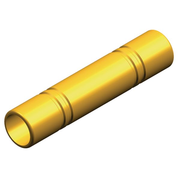 Whale Inline Check Valve 15mm WX1582B