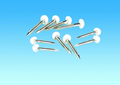 CARAVAN MOTORHOME WINDOW/BOARD TRIM WHITE HEAD DECADOME PINS x 10